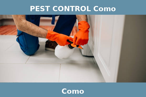 PEST CONTROL Como